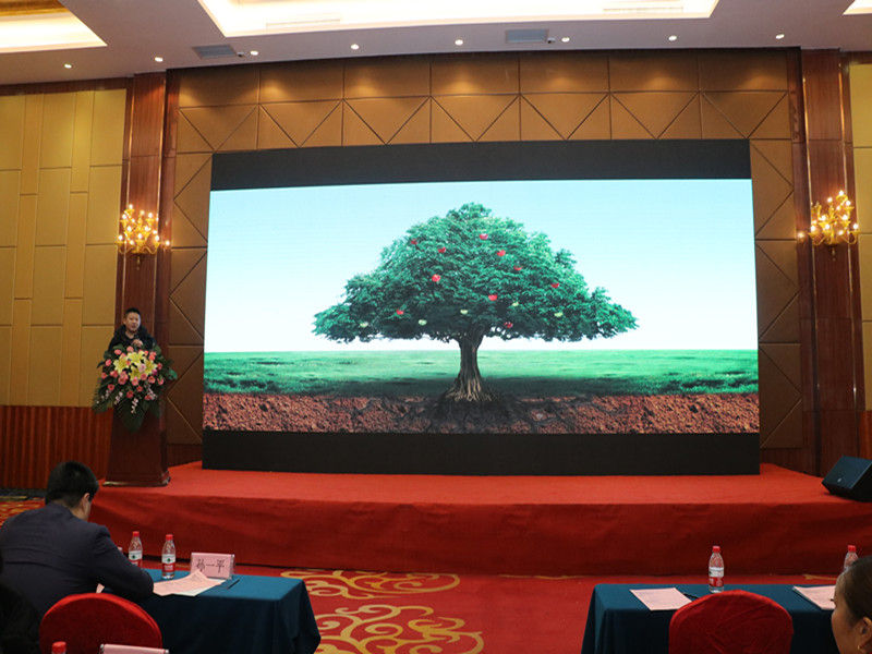 游艇会·yth206(中国)最新官方网站